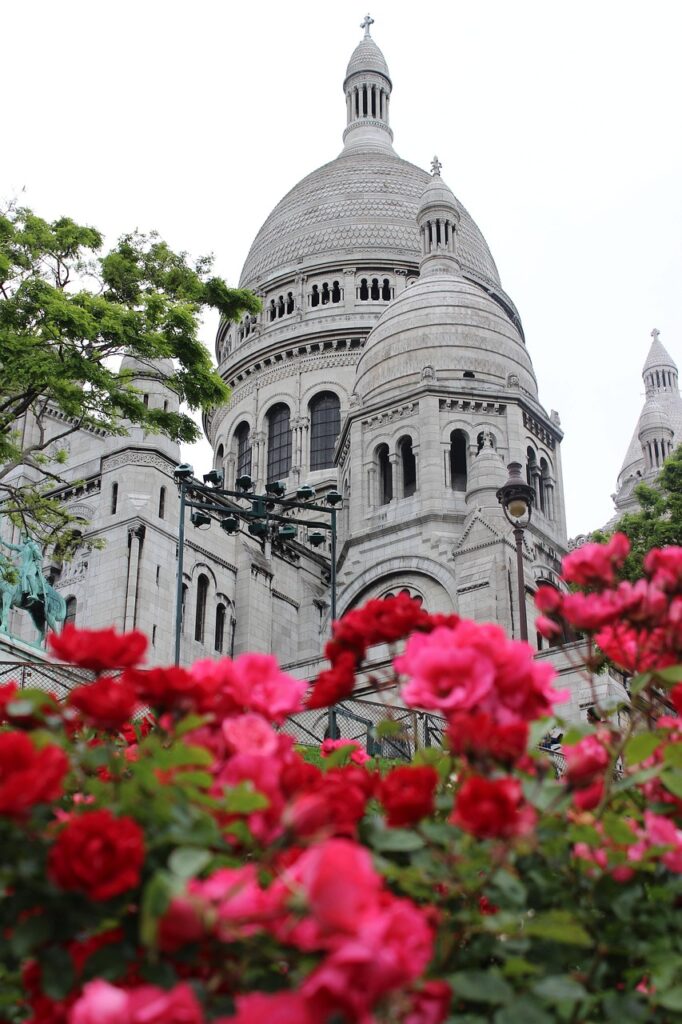 roses, montmartre, paris-1079246.jpg